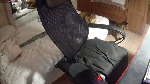 Snapshot of juleea_doll chatting on December 15, 2024, 5:23 am Julia online show from December 15, 2024, 5:23 am