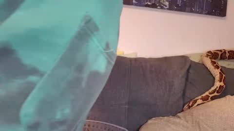 julia_official online show from November 7, 2025, 5:02 pm