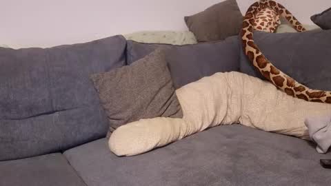 julia_official online show from November 11, 2025, 10:21 pm