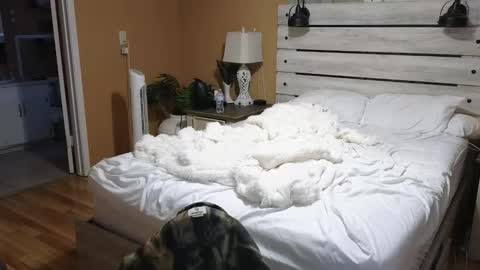 Texas Mamasita online show from February 6, 2026, 2:53 pm