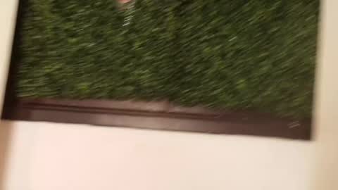 Juli online show from March 13, 2026, 12:12 pm