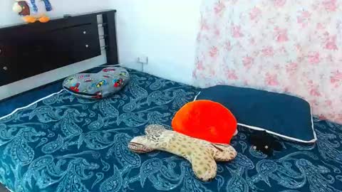 julieta art1 online show from January 13, 2025, 11:49 pm