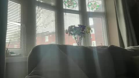 Junky online show from April 21, 2026, 7:14 am