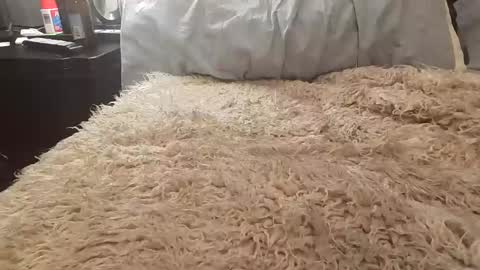 Snapshot of jusme6269 chatting on January 8, 2025, 1:00 am Jusme6269 online show from January 8, 2025, 1:00 am