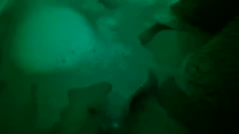 Snapshot of just4funfunfun87 chatting on December 22, 2024, 6:48 pm Yuri online show from December 22, 2024, 6:48 pm