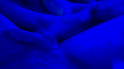 Snapshot of just4funfunfun87 chatting on January 14, 2025, 7:59 am Yuri online show from January 14, 2025, 7:59 am