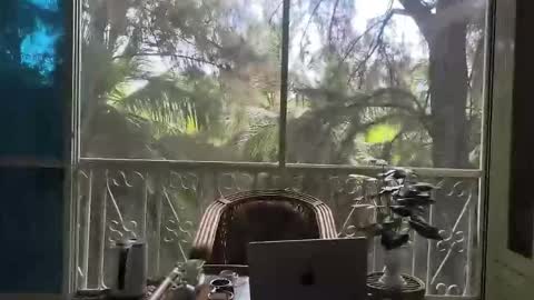 Snapshot of just_place chatting on December 2, 2025, 6:19 am just_place online show from December 2, 2025, 6:19 am