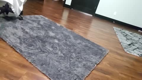 Tohiptwoquit online show from January 15, 2026, 6:07 am