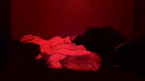 Call me Just online show from March 8, 2025, 2:19 pm