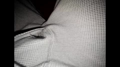 Snapshot of justswack chatting on December 8, 2024, 6:54 am justswack online show from December 8, 2024, 6:54 am