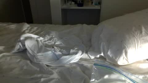 J and Sugar snap pea online show from January 23, 2025, 11:37 am