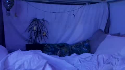 jwolf11851725 online show from October 29, 2025, 10:06 am