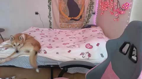 Kessy online show from March 12, 2026, 6:41 am