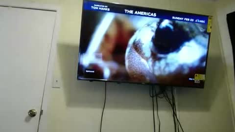 kashmoniy online show from February 11, 2025, 7:44 am