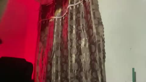 Majesty online show from November 20, 2025, 7:35 pm