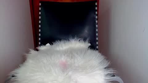 Snapshot of katalinaferreirax chatting on December 17, 2024, 8:54 pm katalinaferreirax online show from December 17, 2024, 8:54 pm