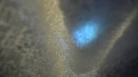 Kate  online show from April 16, 2026, 10:16 am