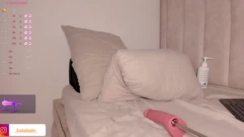 Snapshot of kateryn_bale chatting on December 3, 2024, 11:13 pm kateryn_bale online show from December 3, 2024, 11:13 pm