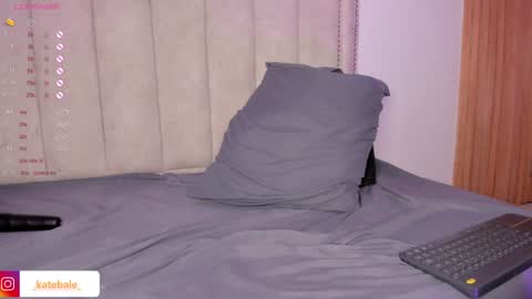 Snapshot of kateryn_bale chatting on January 28, 2025, 11:28 pm kateryn_bale online show from January 28, 2025, 11:28 pm