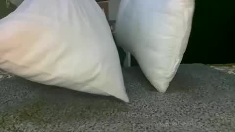 kawaiibabypie online show from December 17, 2024, 12:43 pm