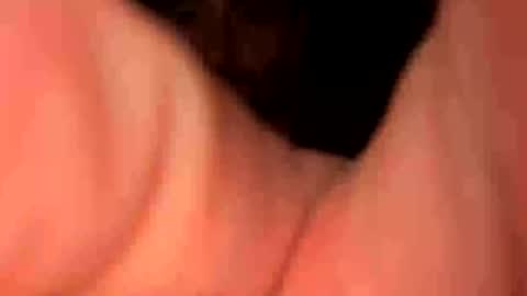 keepquietj online show from January 20, 2025, 5:26 am