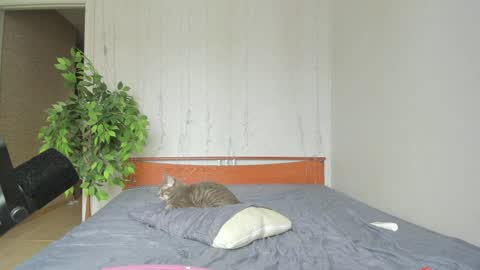 kelly_gerzikaaa online show from April 6, 2026, 4:46 am