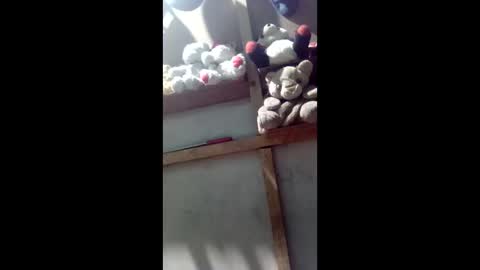 Snapshot of kevin_07279101 chatting on March 4, 2026, 4:40 am kevin_07279101 online show from March 4, 2026, 4:40 am