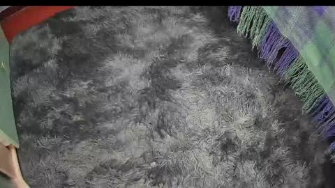 Snapshot of keylasmmith chatting on April 17, 2026, 9:29 pm Keyla online show from April 17, 2026, 9:29 pm