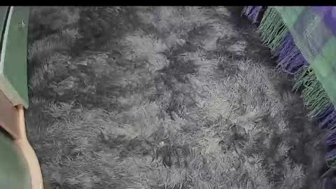 Snapshot of keylasmmith chatting on April 18, 2026, 4:22 pm Keyla online show from April 18, 2026, 4:22 pm