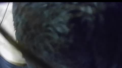 Snapshot of keylasmmith chatting on May 24, 2026, 7:52 pm Keyla online show from May 24, 2026, 7:52 pm