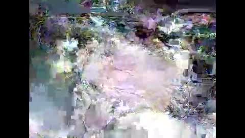 ki389253 online show from March 4, 2026, 2:17 am