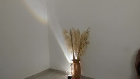 Kim Murphy online show from February 27, 2026, 11:54 am