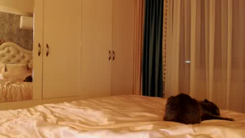 Snapshot of kimlee4 chatting on December 14, 2024, 7:14 pm Kim Lee online show from December 14, 2024, 7:14 pm