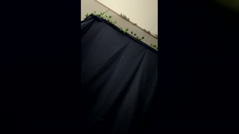 Snapshot of kingburkey chatting on May 29, 2026, 8:56 am kingburkey online show from May 29, 2026, 8:56 am
