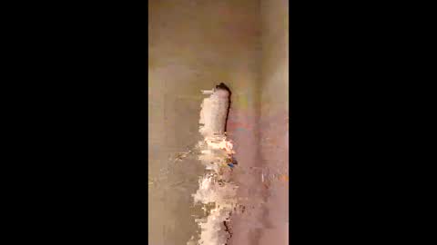 Snapshot of kini8278 chatting on February 21, 2026, 1:56 pm kini8278 online show from February 21, 2026, 1:56 pm