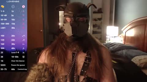 Snapshot of kinkywolf87 chatting on December 3, 2024, 7:21 am kinkywolf87 online show from December 3, 2024, 7:21 am