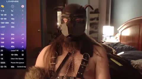 Snapshot of kinkywolf87 chatting on December 20, 2024, 7:12 am kinkywolf87 online show from December 20, 2024, 7:12 am