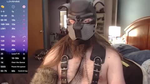 Snapshot of kinkywolf87 chatting on December 21, 2024, 6:23 pm kinkywolf87 online show from December 21, 2024, 6:23 pm