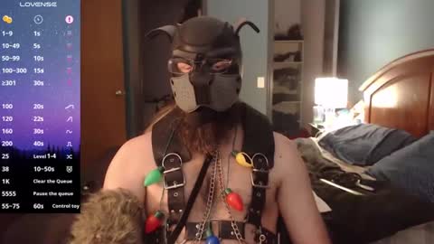 Snapshot of kinkywolf87 chatting on December 24, 2024, 8:05 pm kinkywolf87 online show from December 24, 2024, 8:05 pm