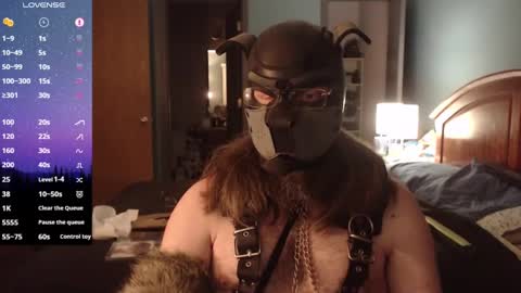 Snapshot of kinkywolf87 chatting on January 15, 2025, 1:02 am kinkywolf87 online show from January 15, 2025, 1:02 am