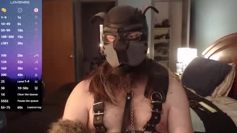 Snapshot of kinkywolf87 chatting on February 2, 2025, 9:56 pm kinkywolf87 online show from February 2, 2025, 9:56 pm