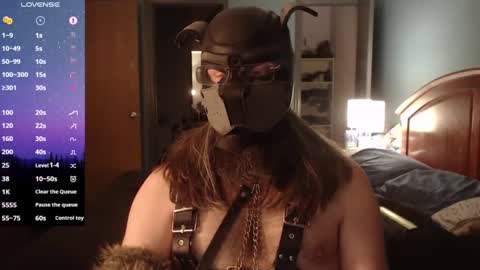 Snapshot of kinkywolf87 chatting on February 9, 2025, 3:53 am kinkywolf87 online show from February 9, 2025, 3:53 am
