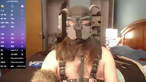 Snapshot of kinkywolf87 chatting on March 8, 2025, 10:02 pm kinkywolf87 online show from March 8, 2025, 10:02 pm