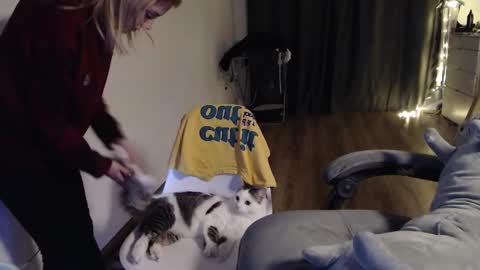 Snapshot of kisi_missi chatting on January 30, 2025, 6:43 pm Kisi online show from January 30, 2025, 6:43 pm