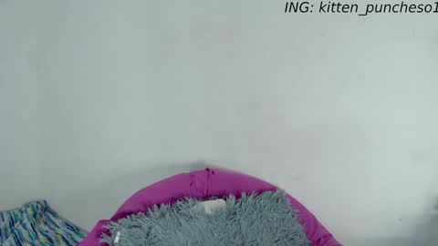 kitten_punches01 online show from September 28, 2025, 2:39 am