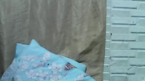 kittengirlxo504404 online show from May 9, 2026, 11:21 pm