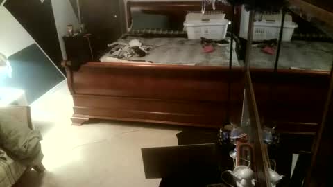 Snapshot of kittenkatch chatting on February 8, 2026, 5:11 am KittenKatch online show from February 8, 2026, 5:11 am