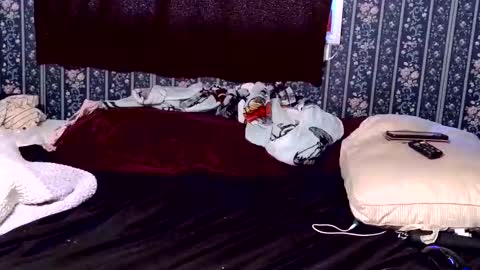 kittenkayla26 online show from April 9, 2026, 3:17 pm