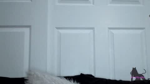 Kitti online show from November 11, 2025, 7:52 am