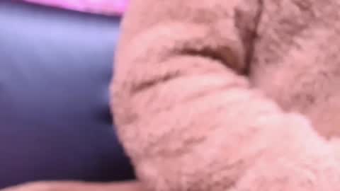 Kitty online show from October 23, 2025, 2:22 am